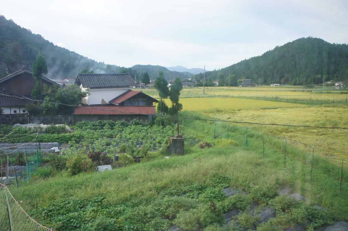 View from bedroom